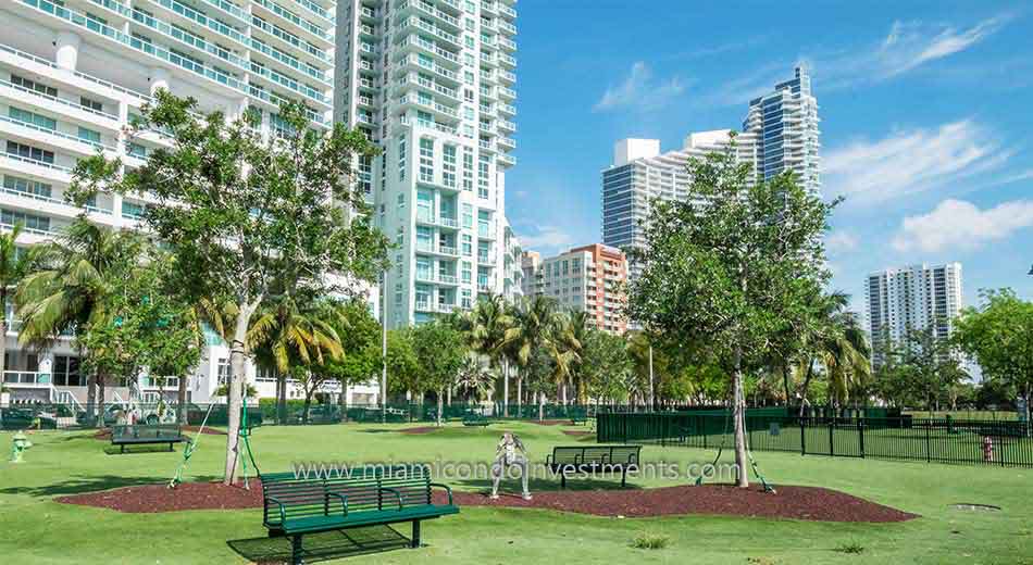 dog park in Edgewater Miami